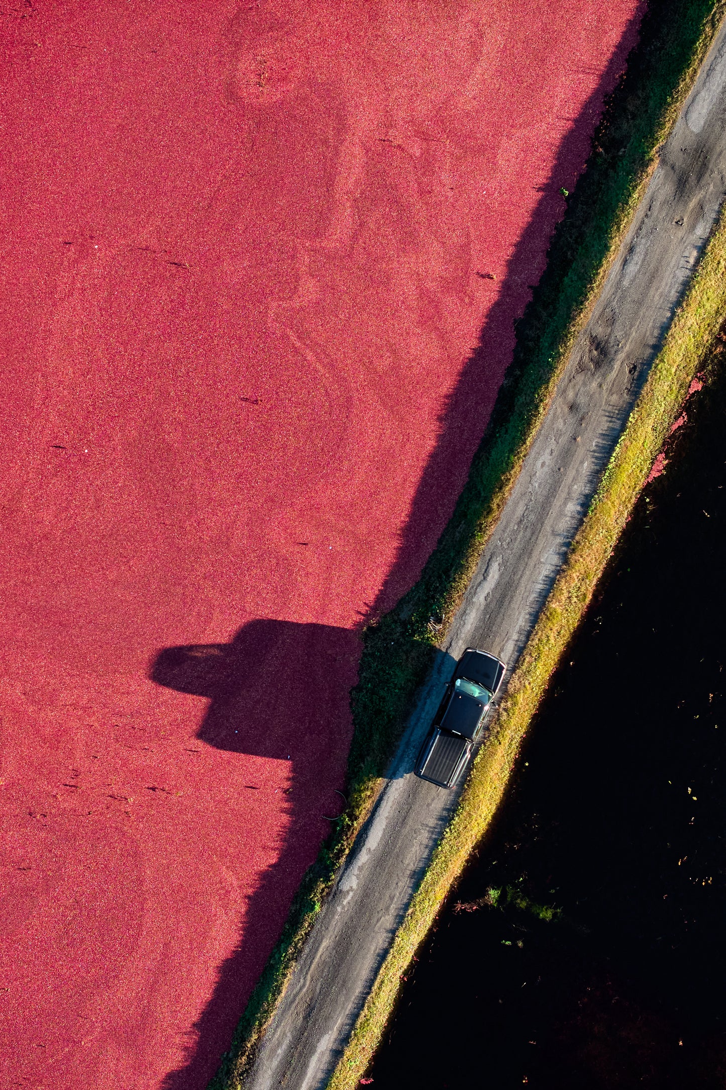 Cranberry Harvest Road