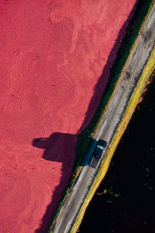 Cranberry Harvest Road