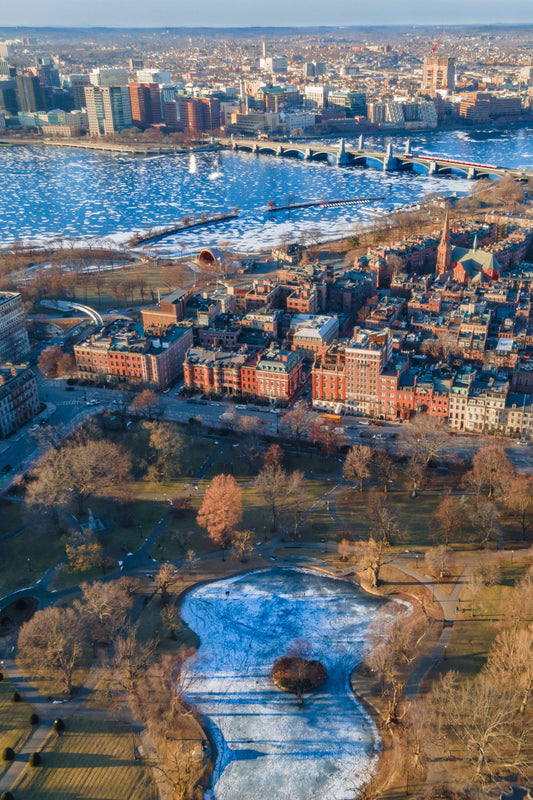 Frozen Boston Common